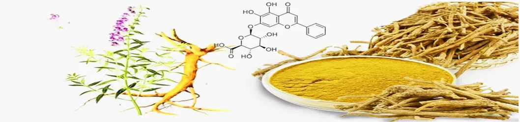 Scutellaria Baicalensis Extract 85.0% Baicalin Light Yellow Powder CAS No. 21967-41-9