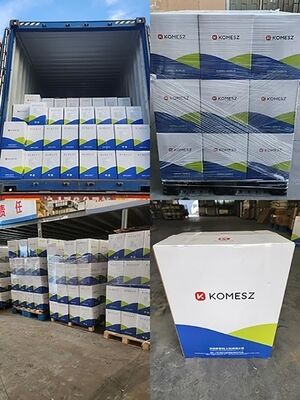 Pork Powder Flavor Kmz-2160078 Taste Good Quality Food Flavor